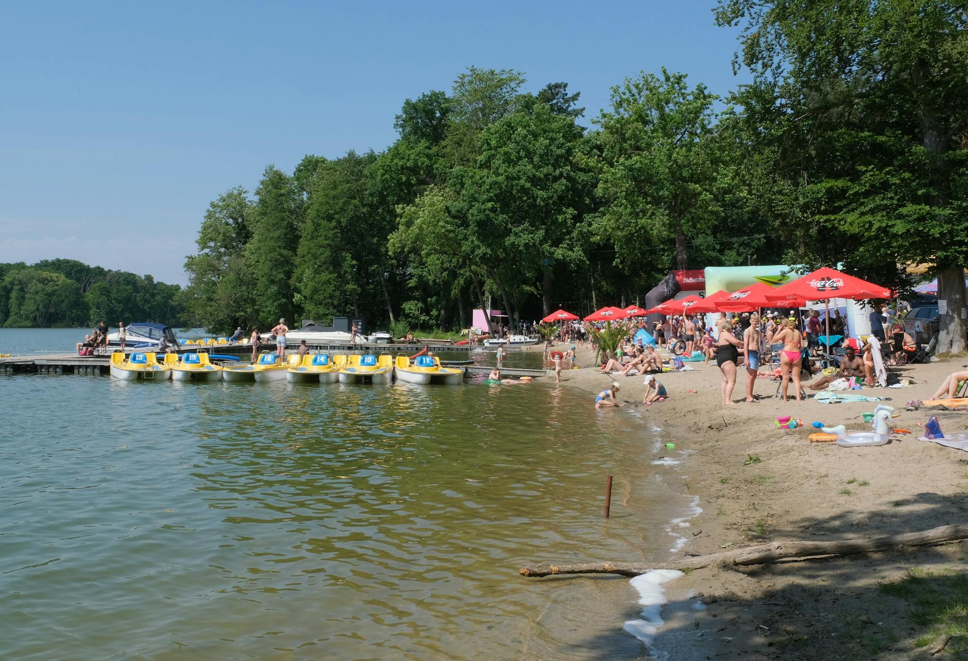 Mieszkańcy cieszący się majówką w parku miejskim w Konstantynowie Łódzkim, z zielenią i kwitnącymi drzewami w tle.